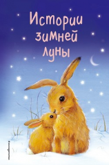 читать Истории зимней луны (сборник)