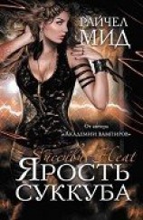 читать Ярость суккуба