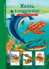 читать Жизнь в соленой воде