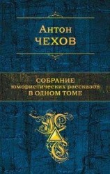 читать Шведская спичка