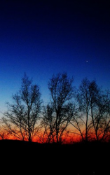 читать Искусственный свет