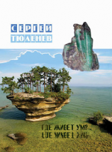 читать Где живет ум