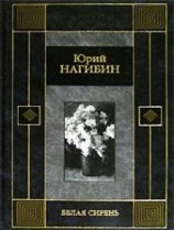 читать Волхвы