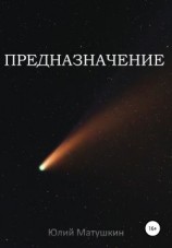 читать Предназначение
