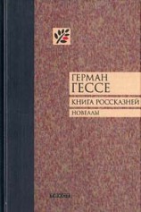 читать Книга россказней. Новеллы