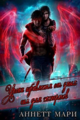 читать Уроки избавления от злых сил для экспертов (ЛП)