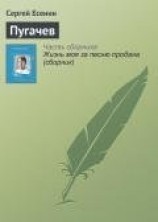 читать Пугачев