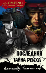 читать Последняя тайна рейха