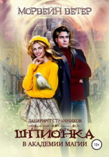 читать Шпионка в академии магии