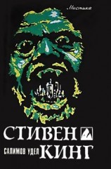 читать Салимов удел