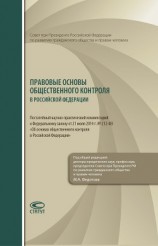 читать Правовые основы общественного контроля в Российской Федерации. Постатейный научно-практический комментарий к Федеральному закону от 21 июля 2014 г. № 212-ФЗ «Об основах общественного контроля в Российской Федерации»