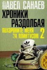 читать Хроники Раздолбая