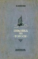читать Зимовка на «Торосе»