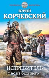 читать Истребитель. Ас из будущего