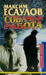 читать Мгновения капитана Громова
