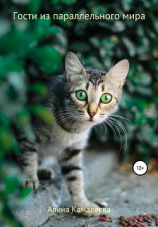читать Гости из параллельного мира