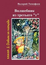 читать Волшебник из третьего «г». Книга 2. Особняк на площади