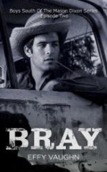 читать Брей (ЛП)