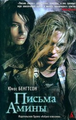 читать Письма Амины