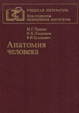 читать Анатомия человека