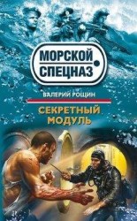читать Секретный модуль