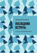 читать Последняя встреча. Из цикла «Черезполосица»