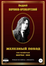 читать Железный поход. Том четвёртый. Волчье эхо