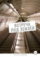 читать Встреча под землёй