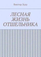 читать Лесная жизнь отшельника. Книга 5. Второй вариант вознесения