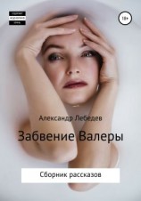 читать Забвение Валеры. Сборник рассказов