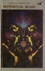 читать Липиньский и др.   Истребитель ведьм (сборник)