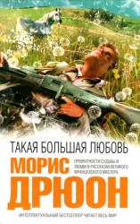 читать Такая большая любовь
