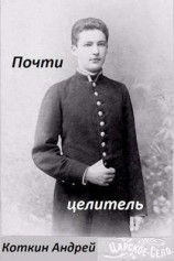 читать Почти Целитель