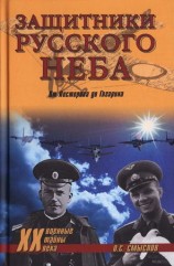 читать Защитники Русского неба. От Нестерова до Гагарина