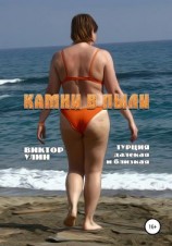 читать Камни в пыли