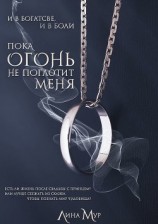 читать Пока огонь не поглотит меня