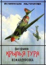 читать Крылья Тура. Командировка [2 том, c илл.]