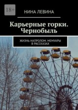 читать Карьерные горки. Чернобыль. Жизнь напролом. Мемуары в рассказах