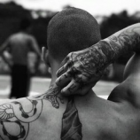 читать Тёплый кот, холодный кот