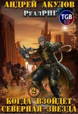 читать Когда взойдет Северная звезда - 2