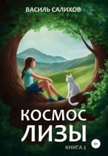 читать Космос Лизы. Книга 2