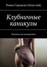 читать Клубничные каникулы. Помощь для незнакомки
