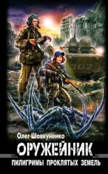 читать Оружейник. Пилигримы проклятых земель
