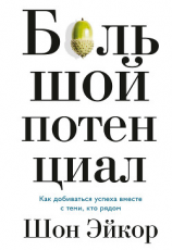 читать Большой потенциал. Как добиваться успеха вместе с теми, кто рядом