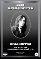 читать Сталинград. Том четвёртый. Земля трещит, как сухой орех
