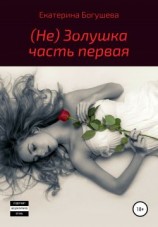 читать Не Золушка
