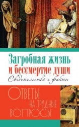 читать Загробная жизнь и бессмертие души. Свидетельства и факты