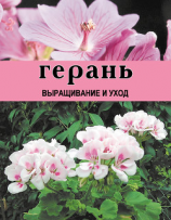 читать Герань. Выращивание и уход