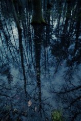 читать Северная Ведьма