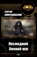 читать Последний боевой маг